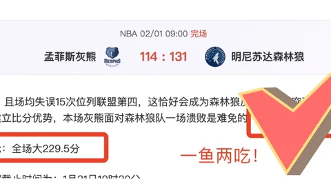 重庆球迷1385人支持铜梁龙战大连英博，渝媒报道大乐透期号专