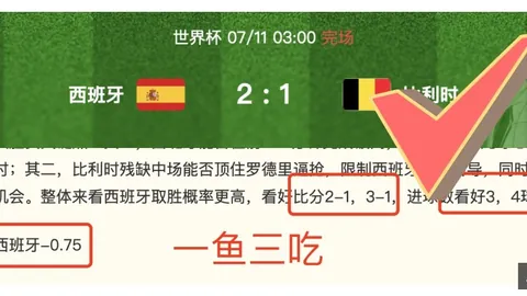 球探足球比，体育官网，分 132318